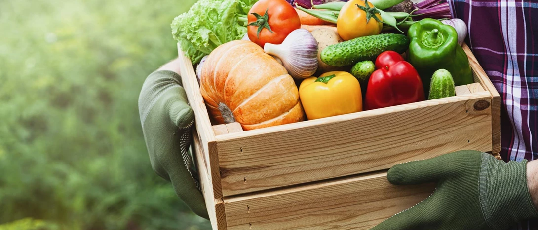 Cabazes de Fruta e Legumes