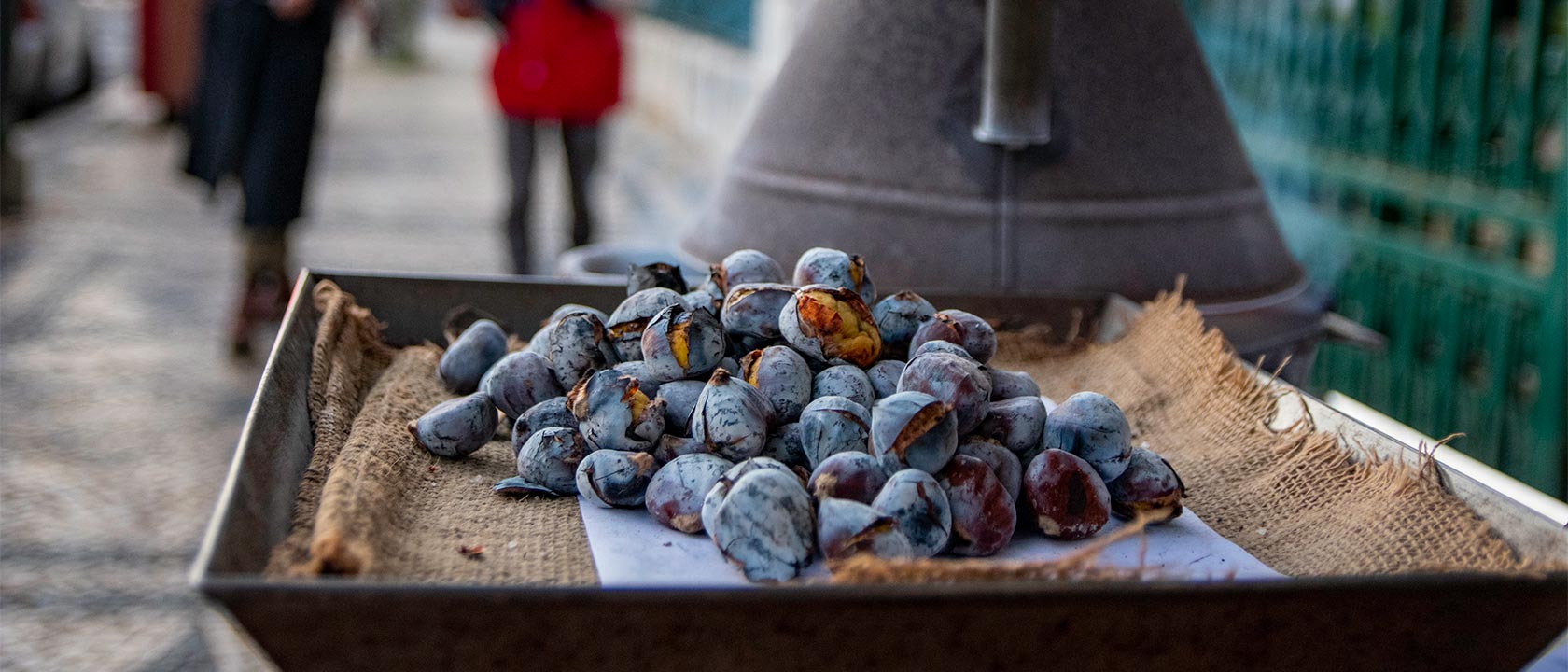 Dia de São Martinho