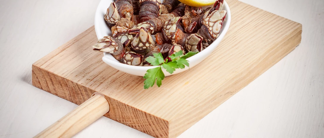 travessa-percebes