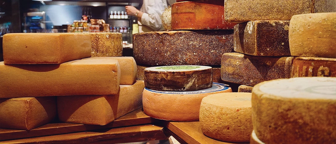 Queijo Italiano: Taleggio DOP