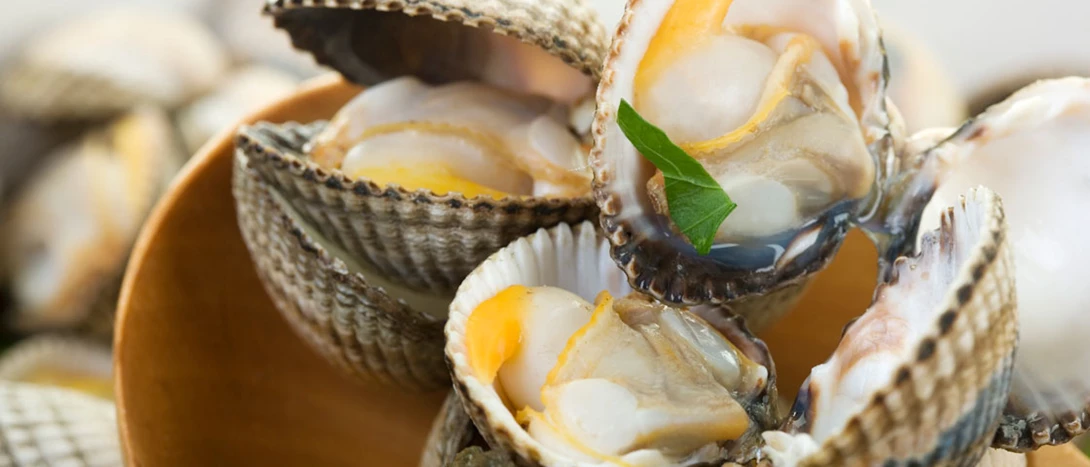 Berbigão: receitas e o que é