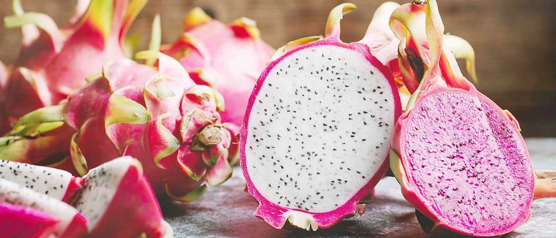 Pitaia: a "fruta do dragão"