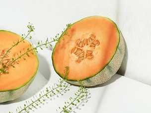 Meloa