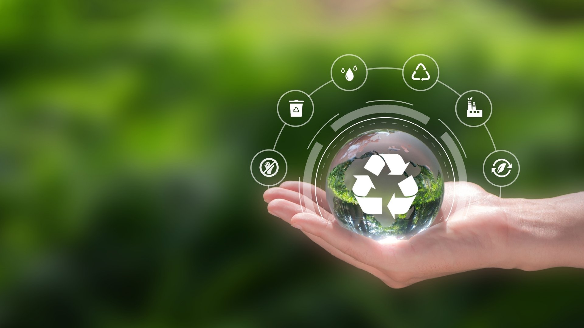 Dia Internacional Residuo Zero