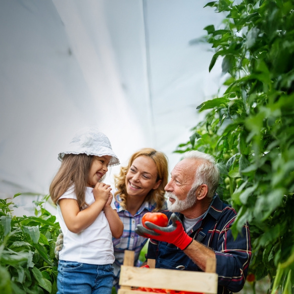 Agenda 2030 Familia Colher