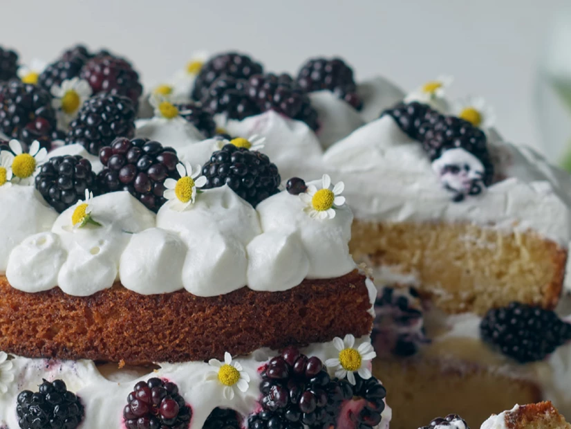 Sponge cake