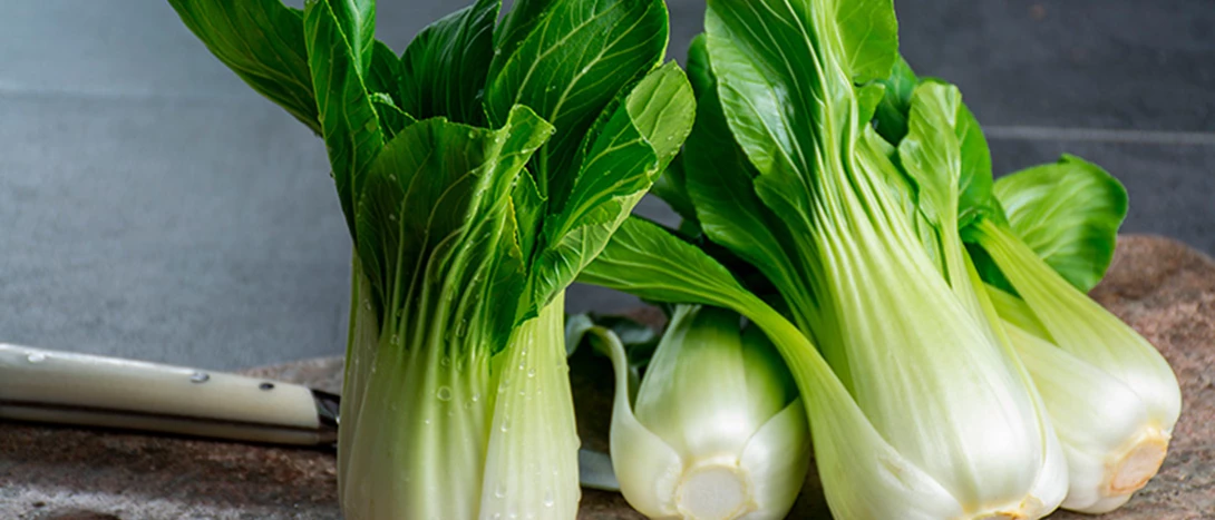 Couve Pak Choi