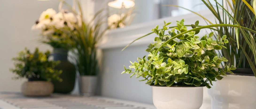 Plantas Artificiais